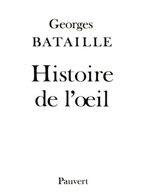 cover image of Histoire de l'oeil
